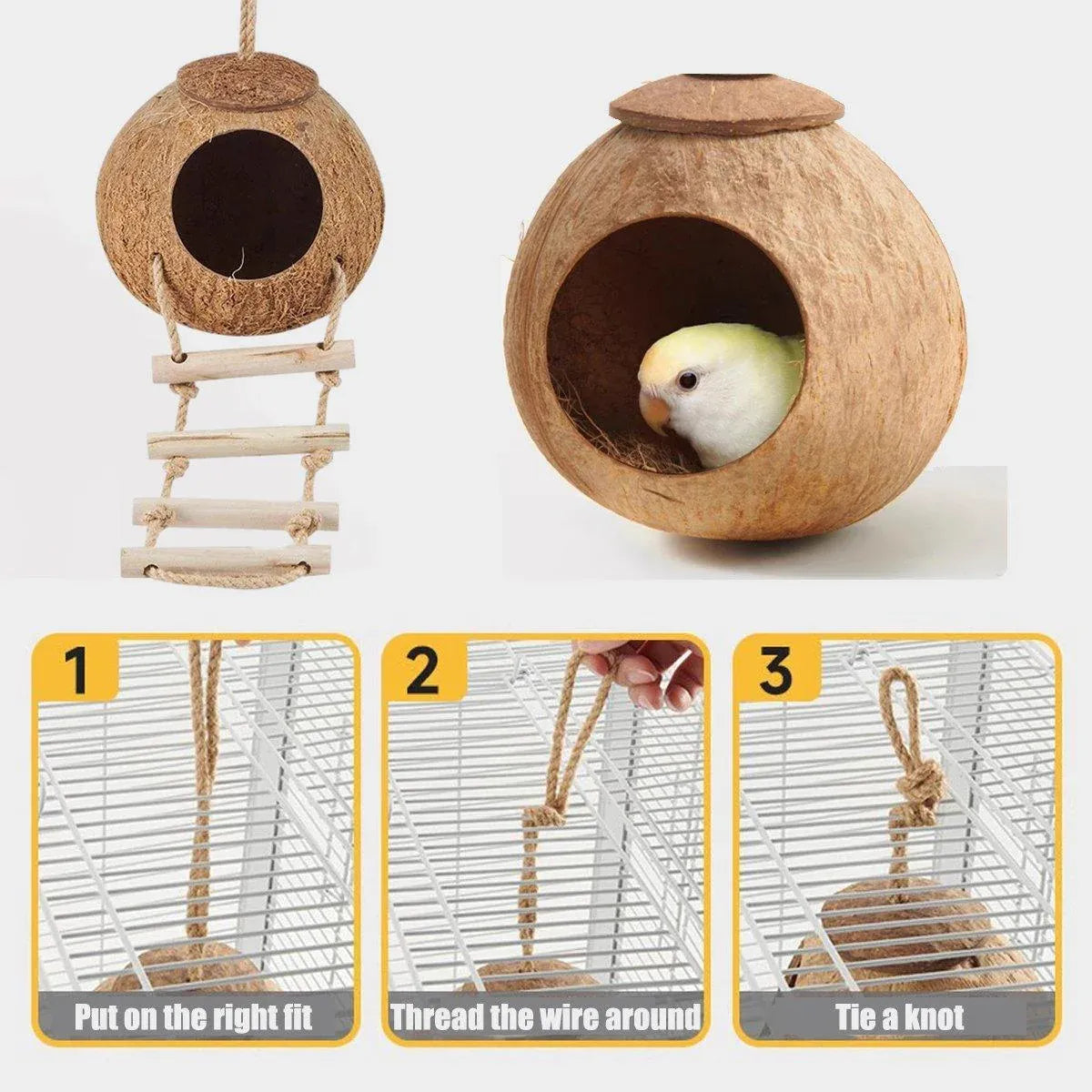 Premium Coconut Shell Bird Nest Bed with Stairs - 13.5-15cm