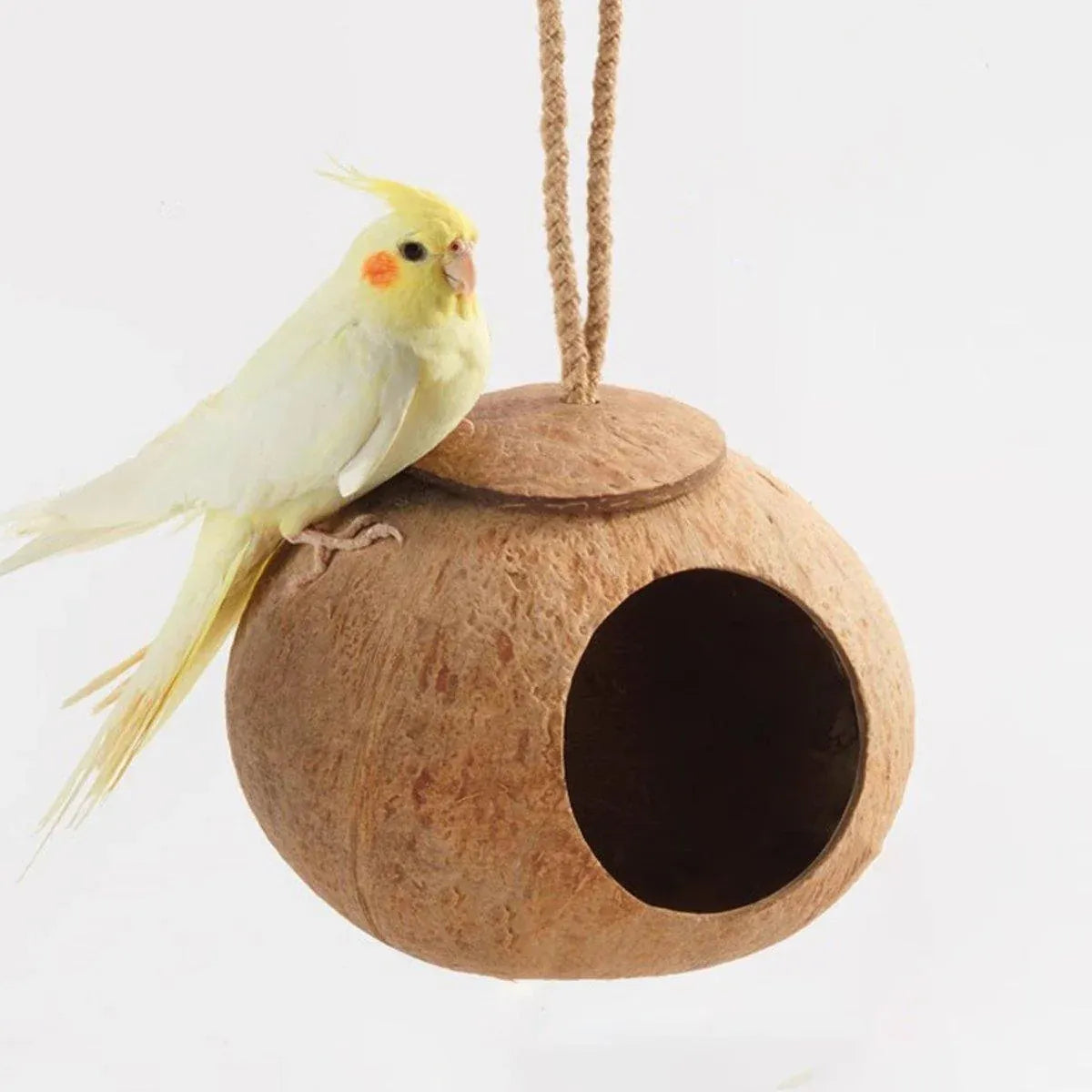 Premium Coconut Shell Bird Nest Bed with Stairs - 13.5-15cm