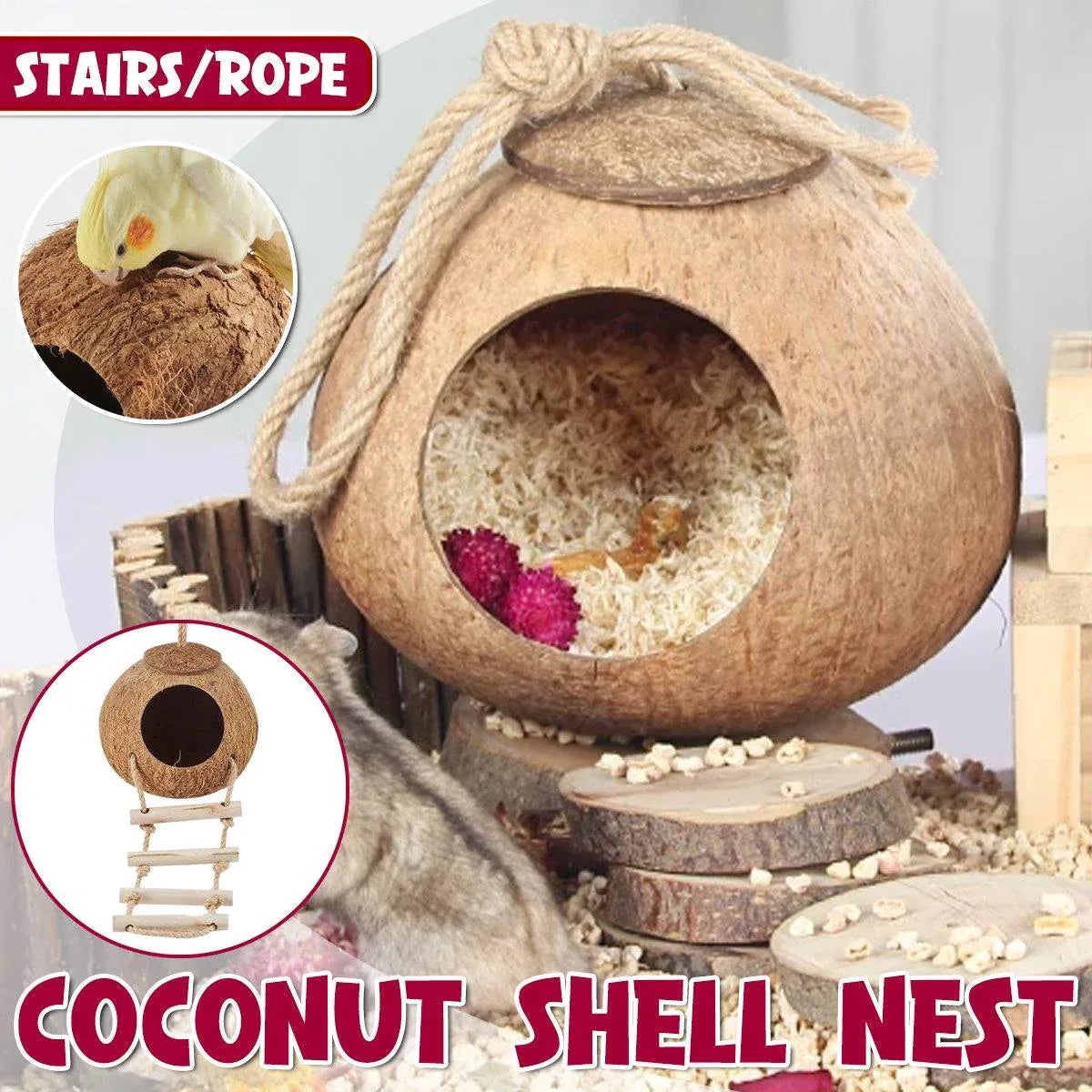 Premium Coconut Shell Bird Nest Bed with Stairs - 13.5-15cm