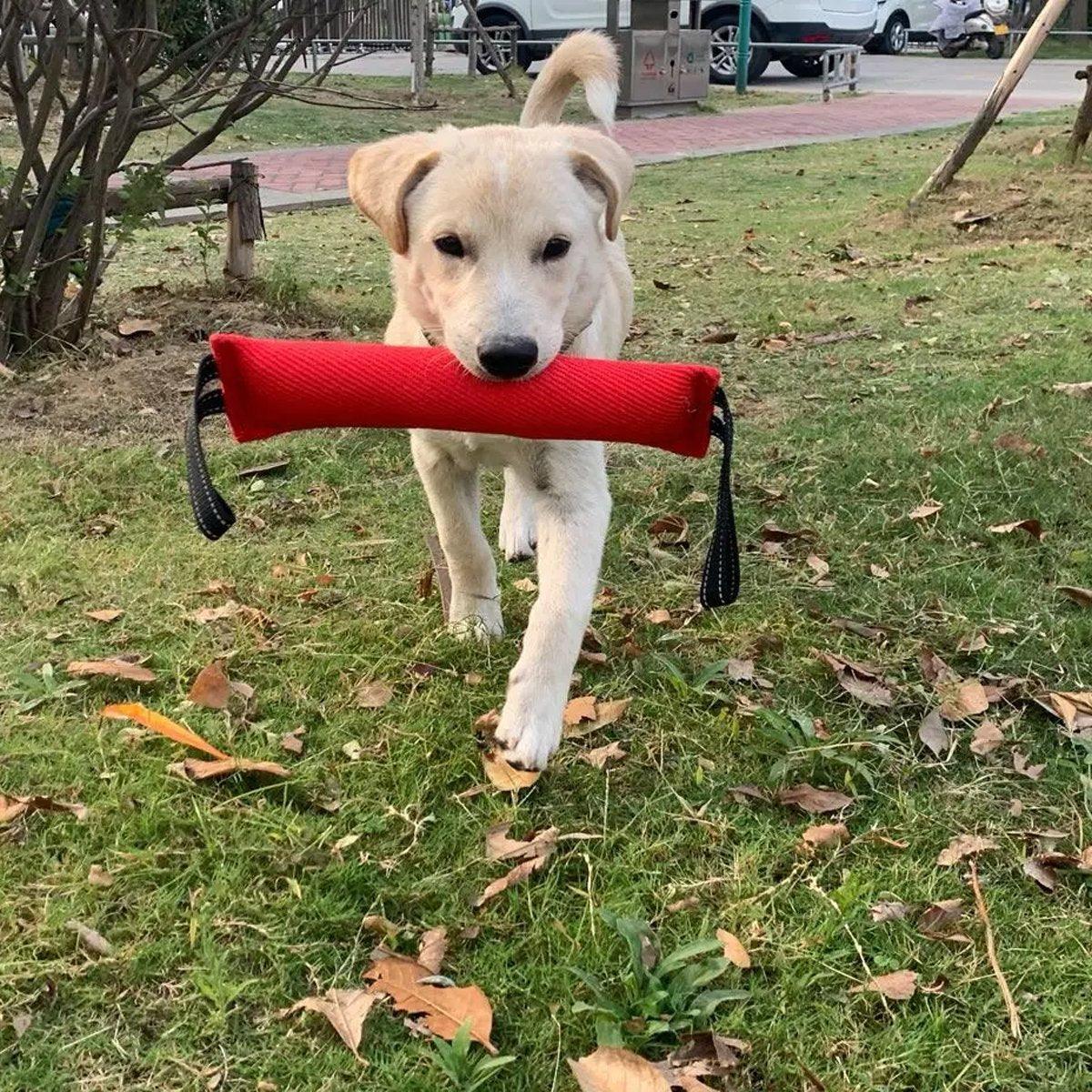 Durable Cloth Bite Stick Teether Dog Training Toy 11.8" - 2 Pack (Red & Green) - SuperSaverAU - view 5