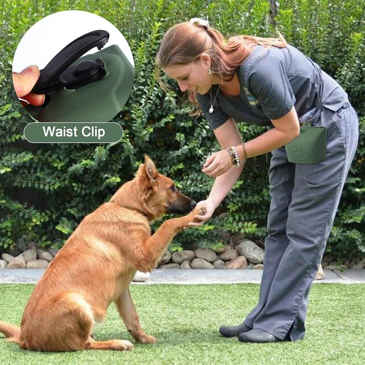 Premium Silicone Dog Treat Pouch with Magnetic Closure - Light Green