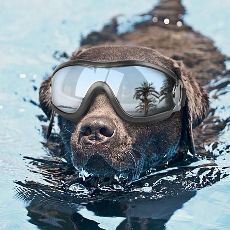 Premium Pet Dog Goggles UV Sunglasses Eye Protection