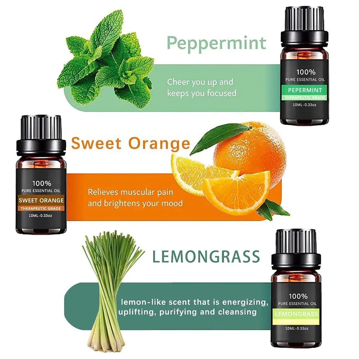 Premium 6 Piece Plant Essential Oil Set for Aromatherapy Diffusers