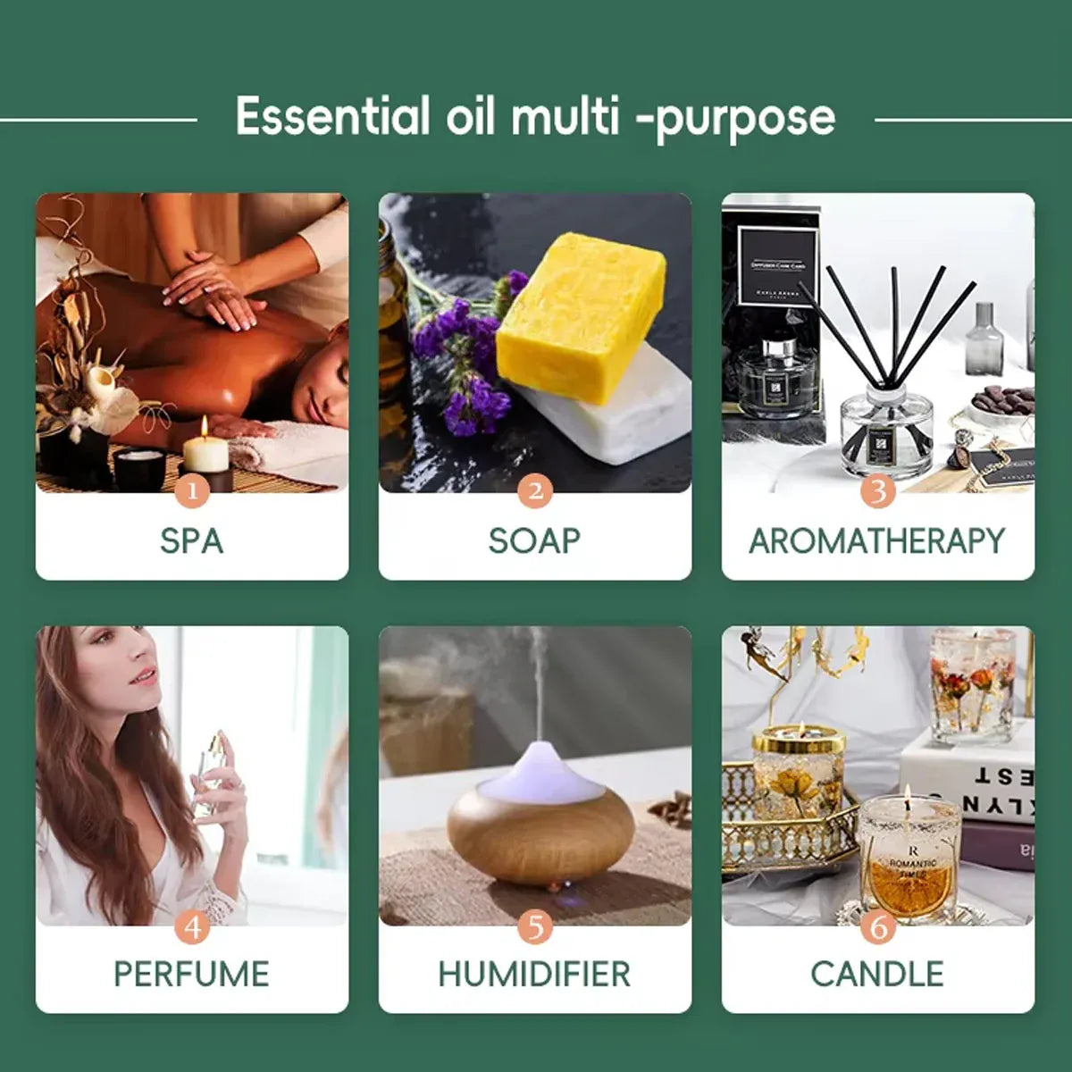 Premium 6 Piece Plant Essential Oil Set for Aromatherapy Diffusers