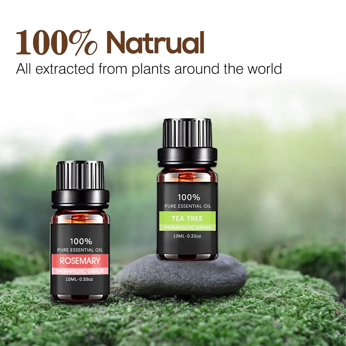 Premium 6 Piece Plant Essential Oil Set for Aromatherapy Diffusers