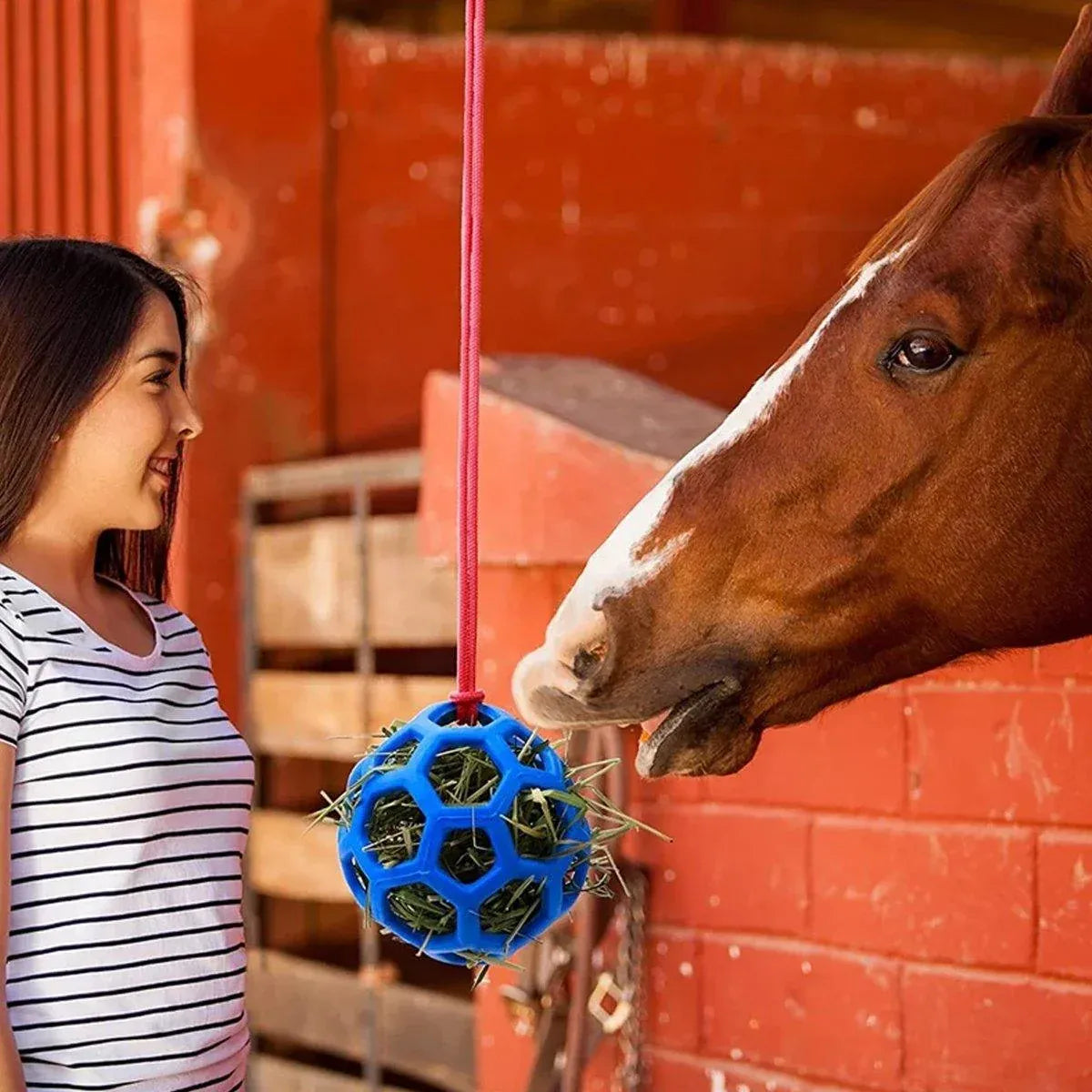 Premium Red Horse Hay Feeder Ball Slow Feeding Toy - 14cm