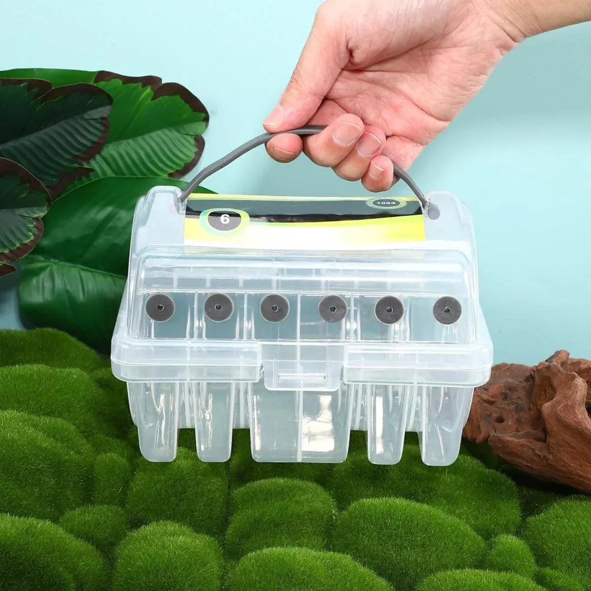 Premium Fishing Line Organiser Storage Box - 6 Spool