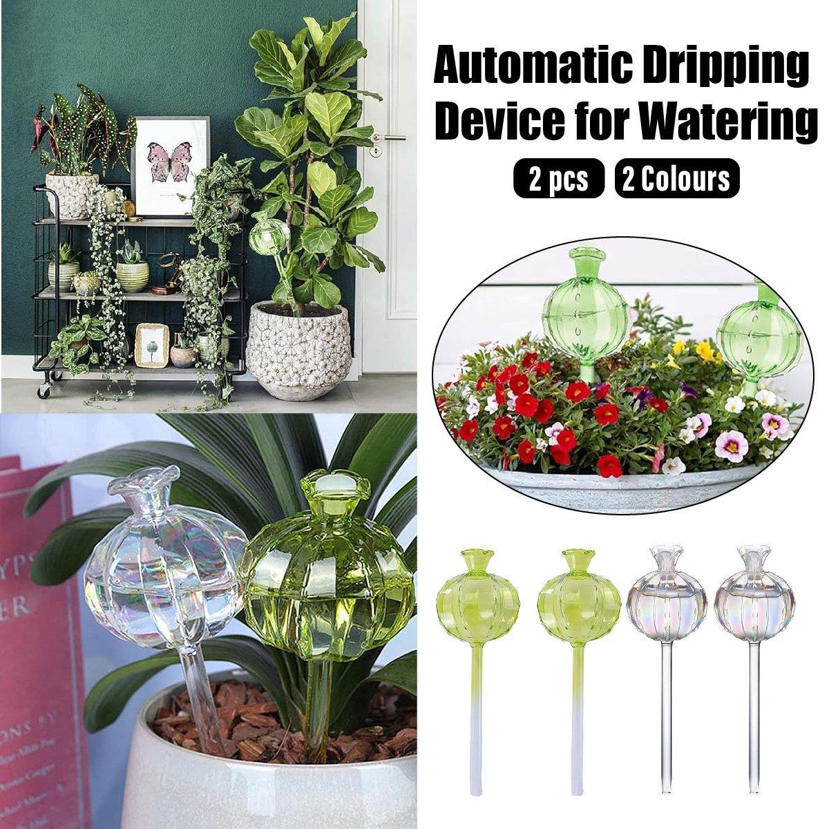Premium Automatic Glass Watering Globes – Green 2 Pack