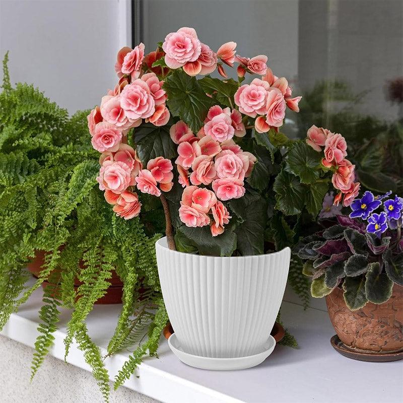 6PCS Simple Plastic Round Plant Pots Vertical Stripes Flower Pot Green Gardening - Green - SuperSaverAU - view 5