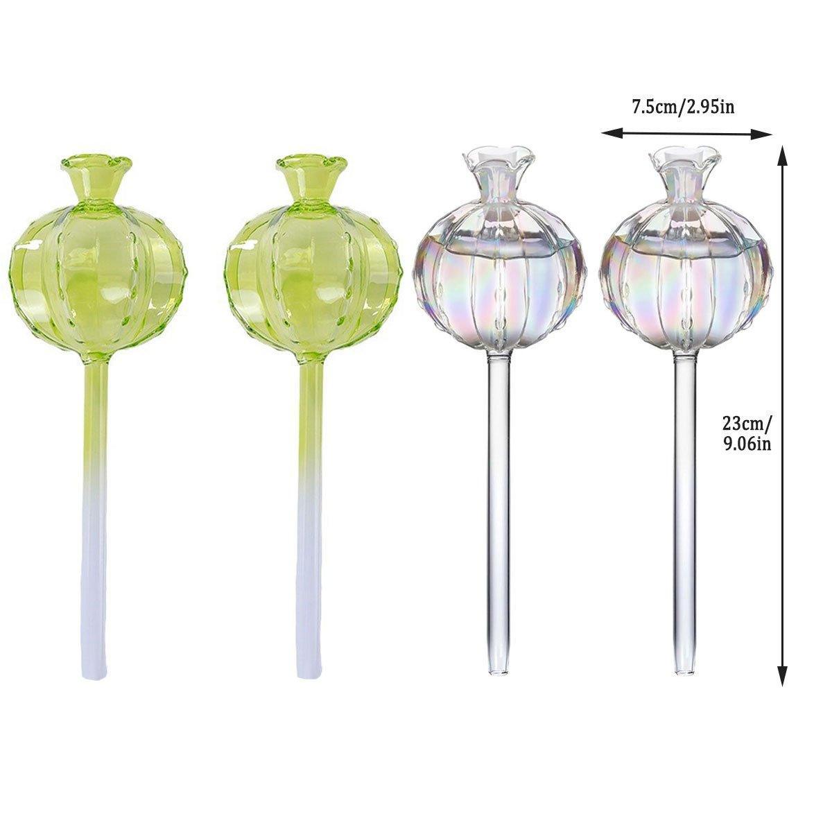 Premium Automatic Glass Watering Globes – Transparent 2 Pack
