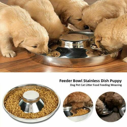 Premium Stainless Steel Slow Feeder Pet Bowl – Silver Small