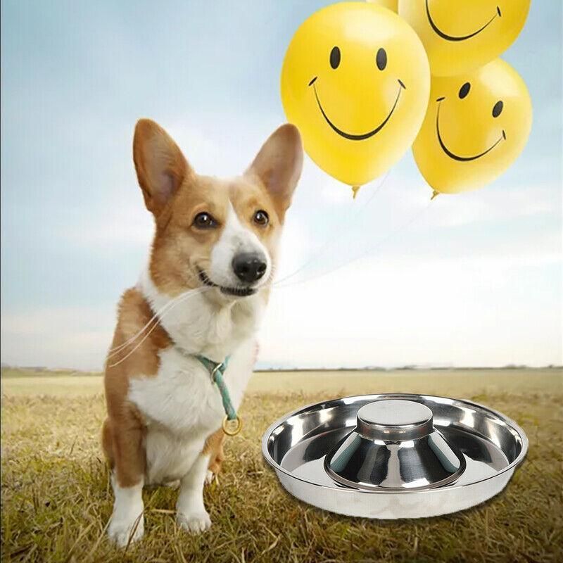 Premium Stainless Steel Slow Feeder Pet Bowl – Silver Small