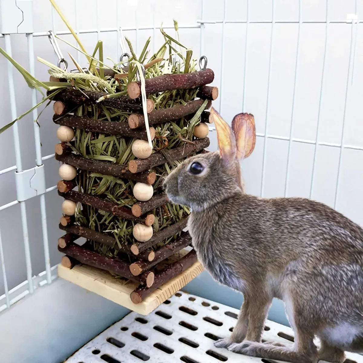 Premium Rabbit Hay Feeder Rack with Apple Wood Chew Frame