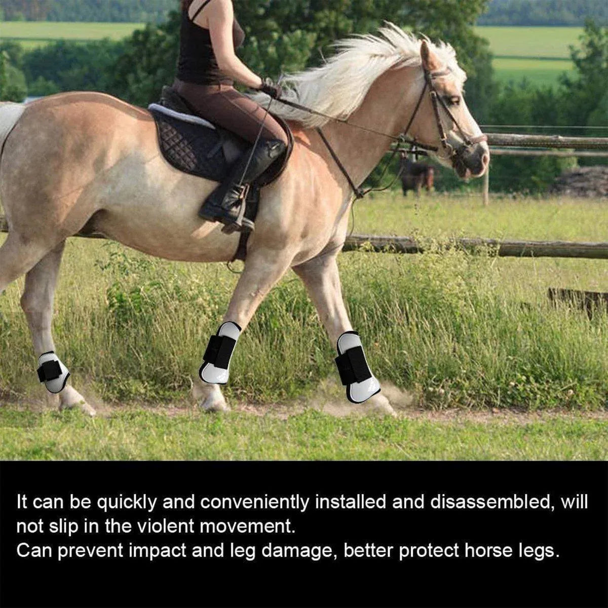 Premium Horse Leg Gaiters 4pcs for Joint Protection - White