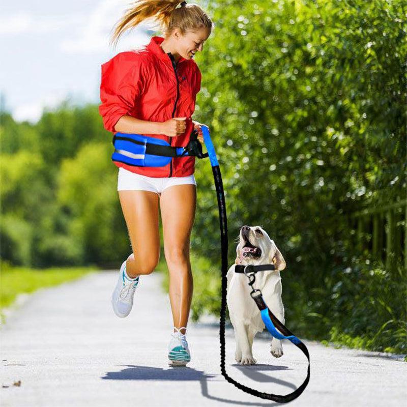 Hands Free Dog Leash 160-220cm with Adjustable Waist Bag for Walking Jogging Running - Black + Blue - SuperSaverAU - view 3