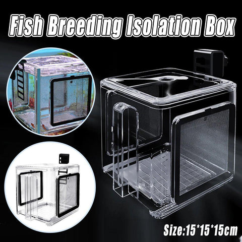 Premium Acrylic Aquarium Isolation Box with 304SS Mesh - 15cm