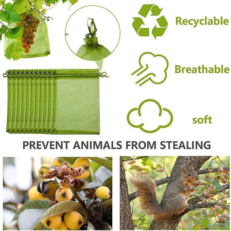Premium Organza Fruit Protection Net Bags – Green 17 x 23cm, 50 Pack