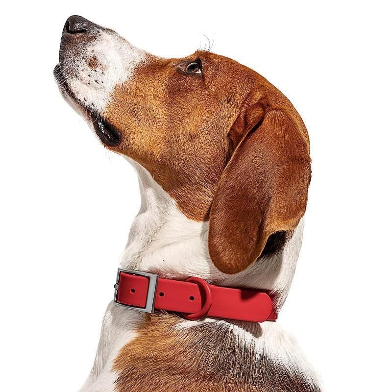 Premium Waterproof PVC Dog Collar Adjustable - Pink L