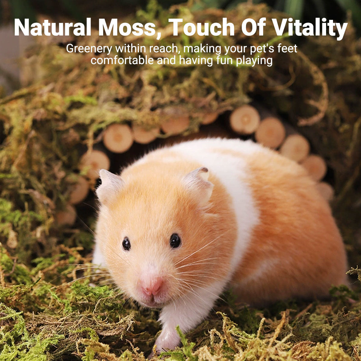 Natural Dried Moss Bedding 100g - 5 Packs for Hamsters & Reptiles - SuperSaverAU - view 4