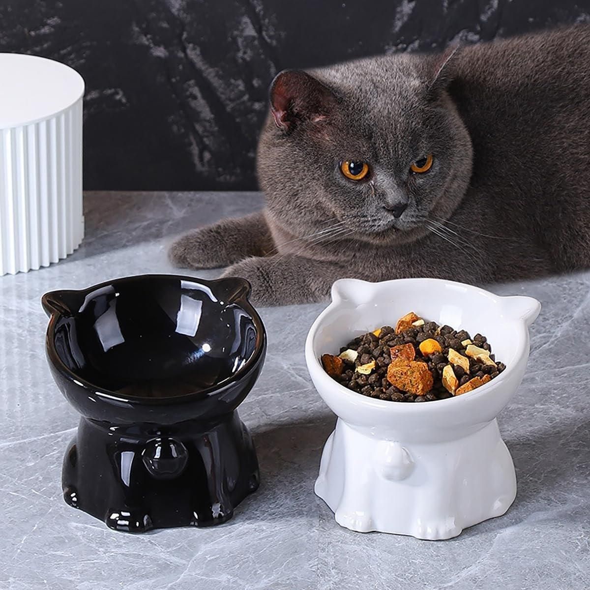Premium Raised Ceramic Cat Bowl – Pink 160ml with 15° Tilt