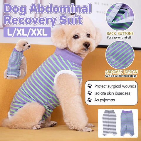 Thin Belly Shirt for Female Dogs - Soft, Breathable, Anti-Cool, Grey - XXL - SuperSaverAU - view 1