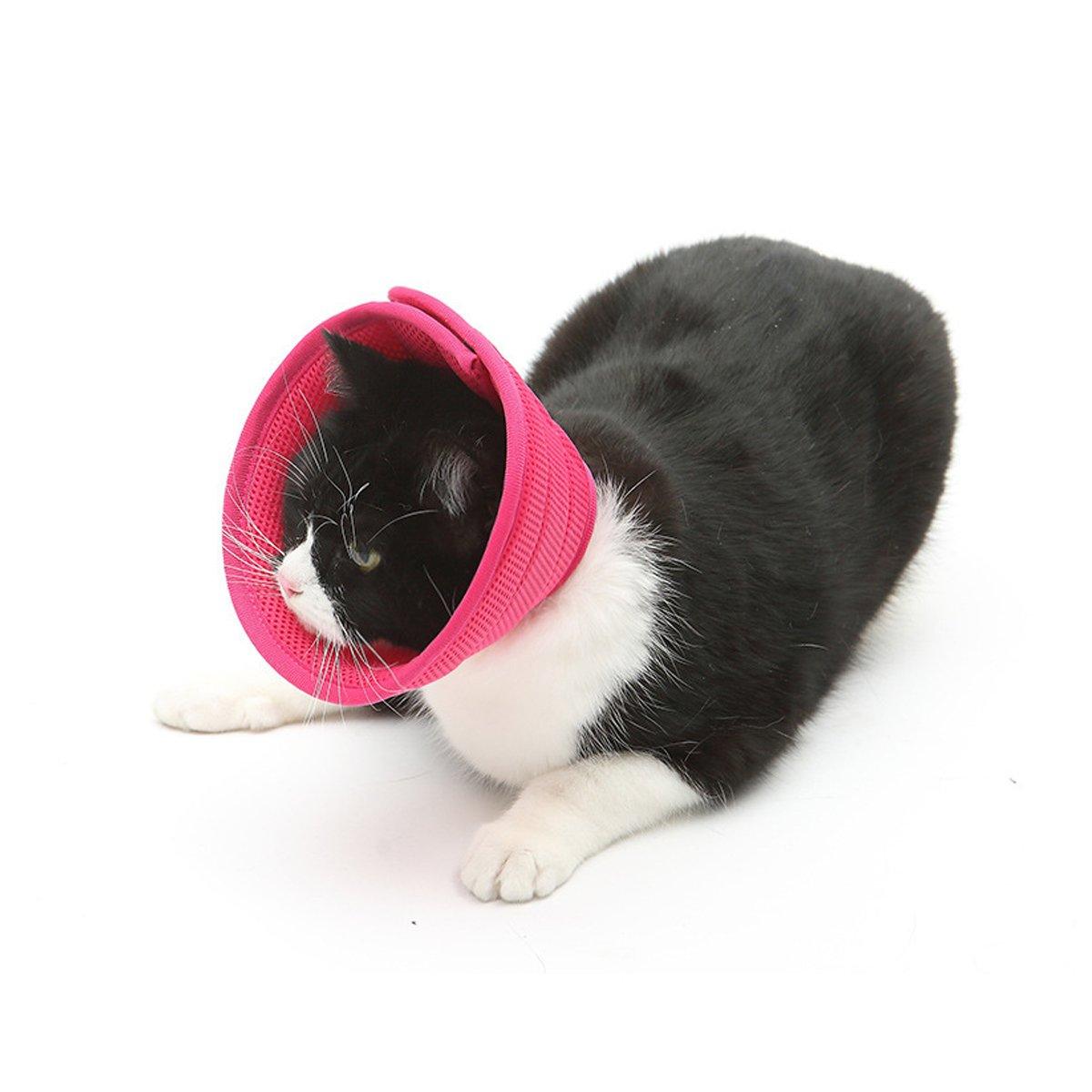 Elizabethan Collar Anti Licking Biting Pet Collar for Cats and Dogs - Grey - Size 4 - SuperSaverAU - view 4