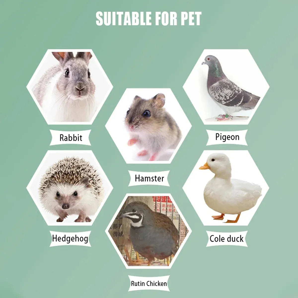 Premium Natural Straw Small Pet Grass Nest Hideout