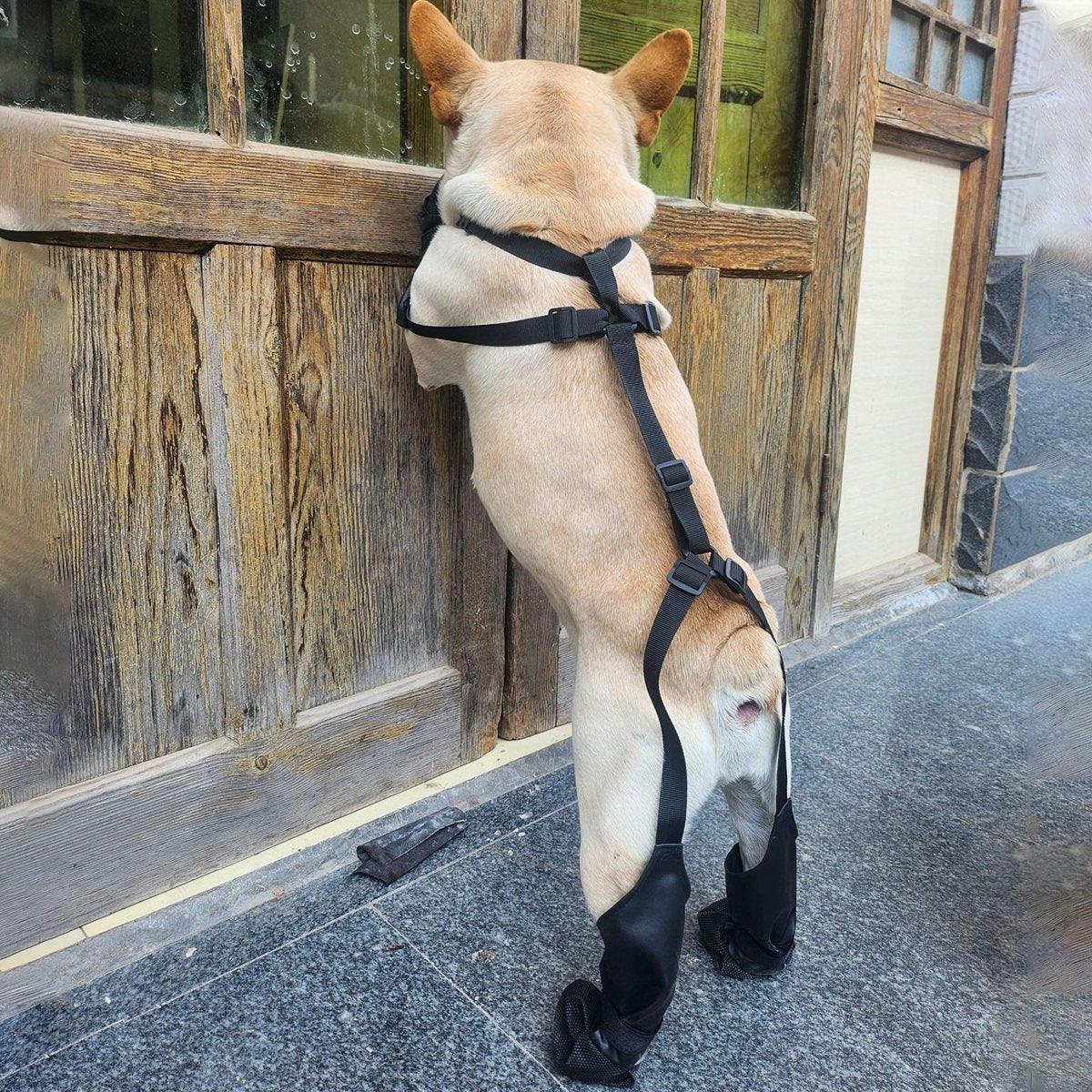 Waterproof Dog Shoes Anti-Slip with Adjustable Suspenders - M - SuperSaverAU - view 4