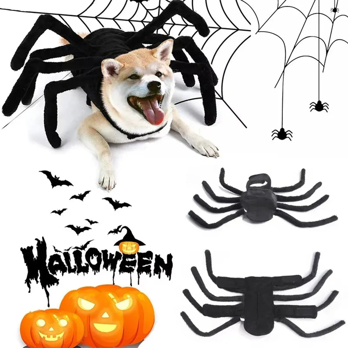Premium Pet Spider Halloween Costume - Black L