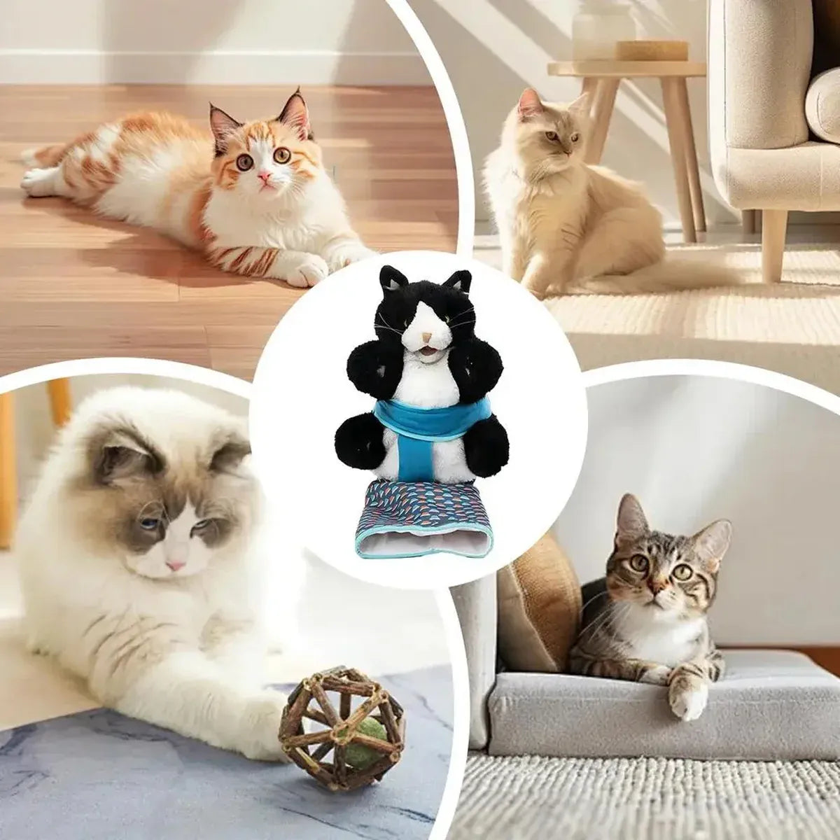 Premium Wrestler Cat Interactive Hand Puppet Toy - 20 x 50cm