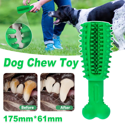 Premium Green Dog Chew Teething Toy with Treat-Dispensing Centre