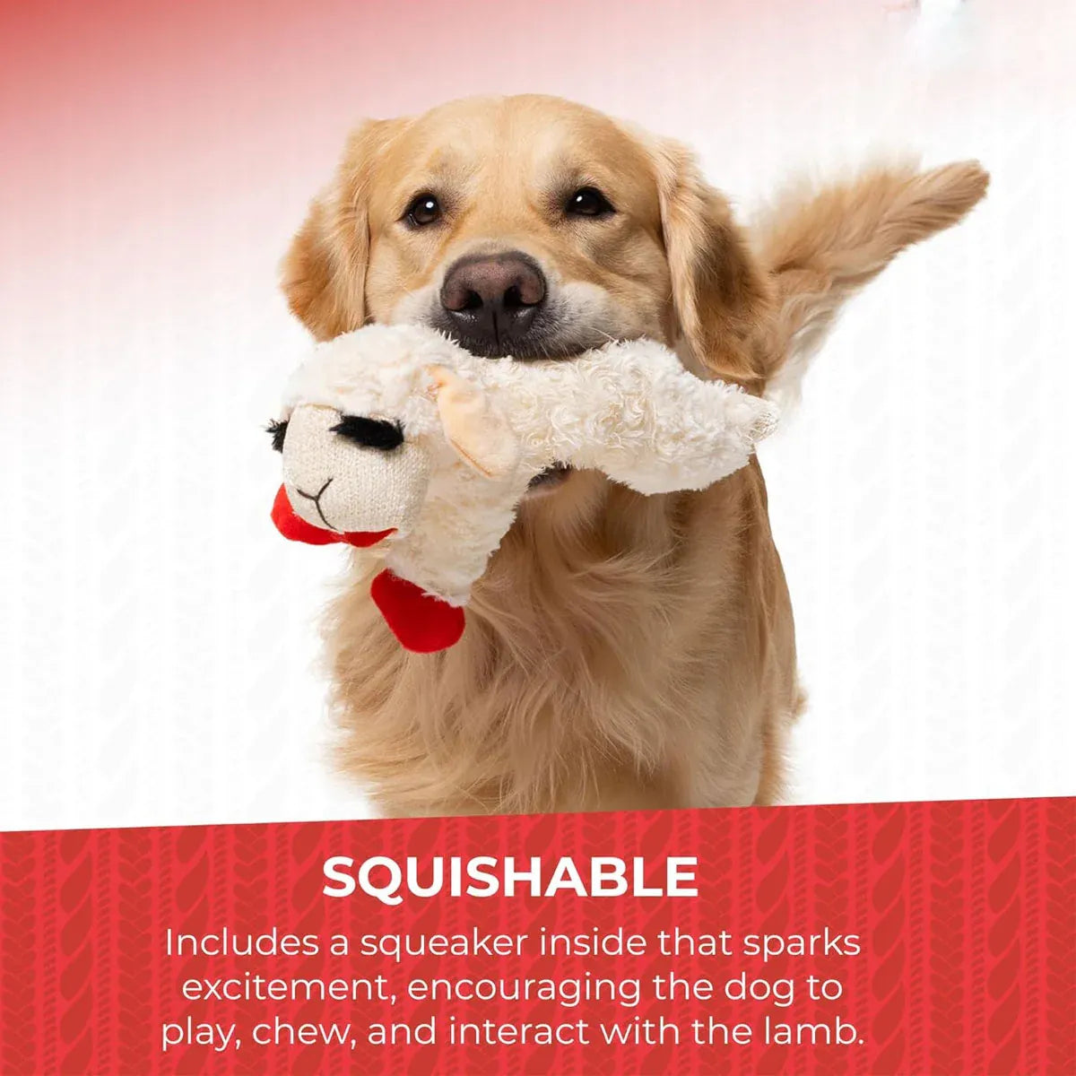 Premium Lamb Plush Squeaky Dog Toy for Small Dogs