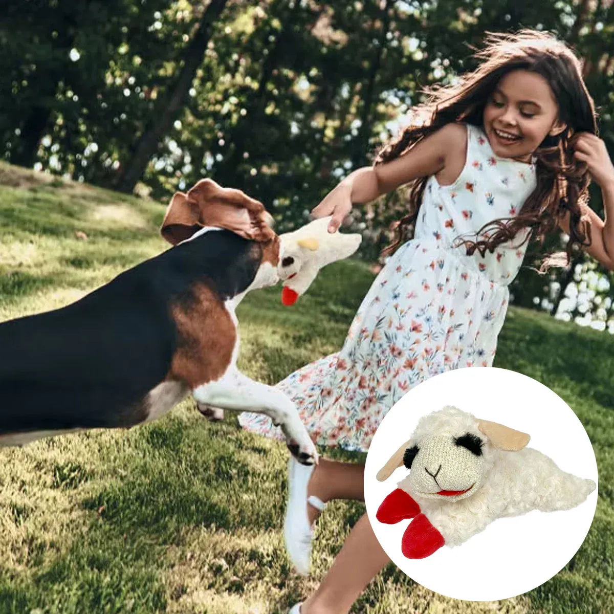 Premium Lamb Plush Squeaky Dog Toy for Small Dogs