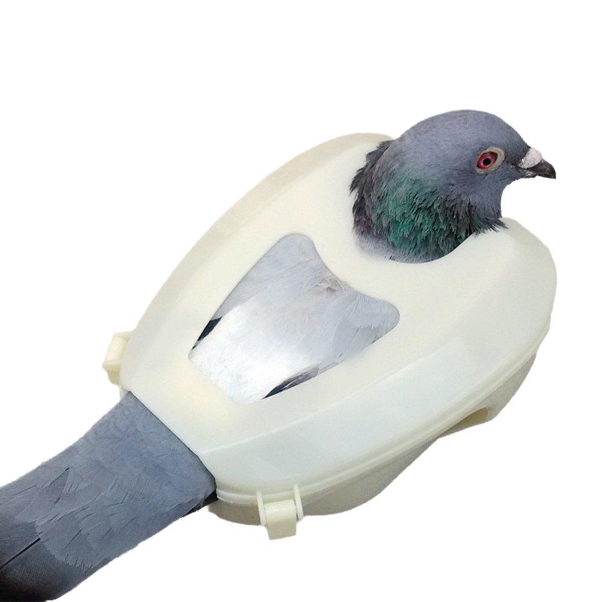 Premium Plastic Racing Pigeon Holder for Medicine Feeding - 2 Pack