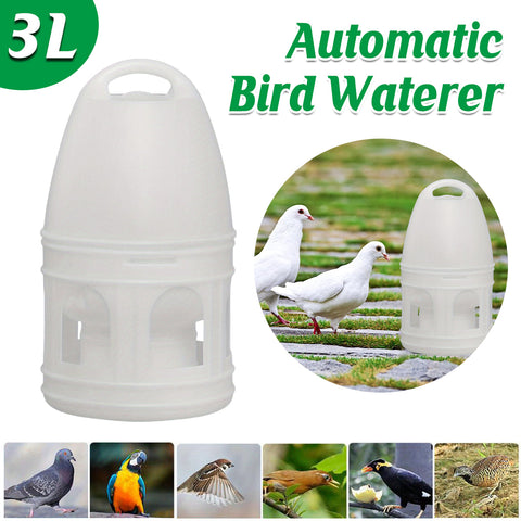 Premium White 3L Pigeon Drinker Bird Water Dispenser