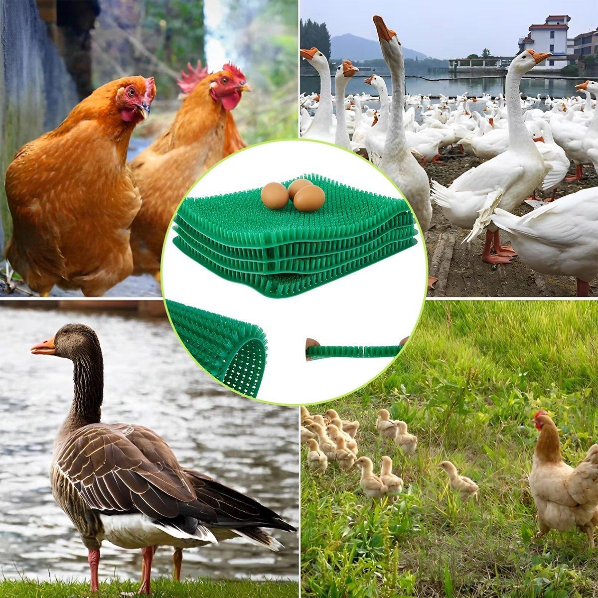 Premium Green Chicken Nest Box Grass Mats Washable - 6 Pack