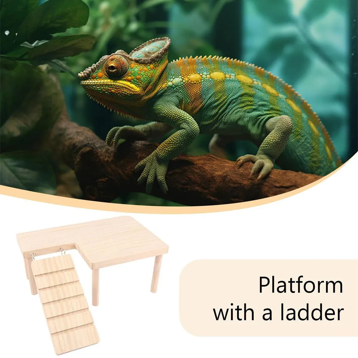 Premium Hamster Wood Platform with Ladder & Ramp - L-Shape