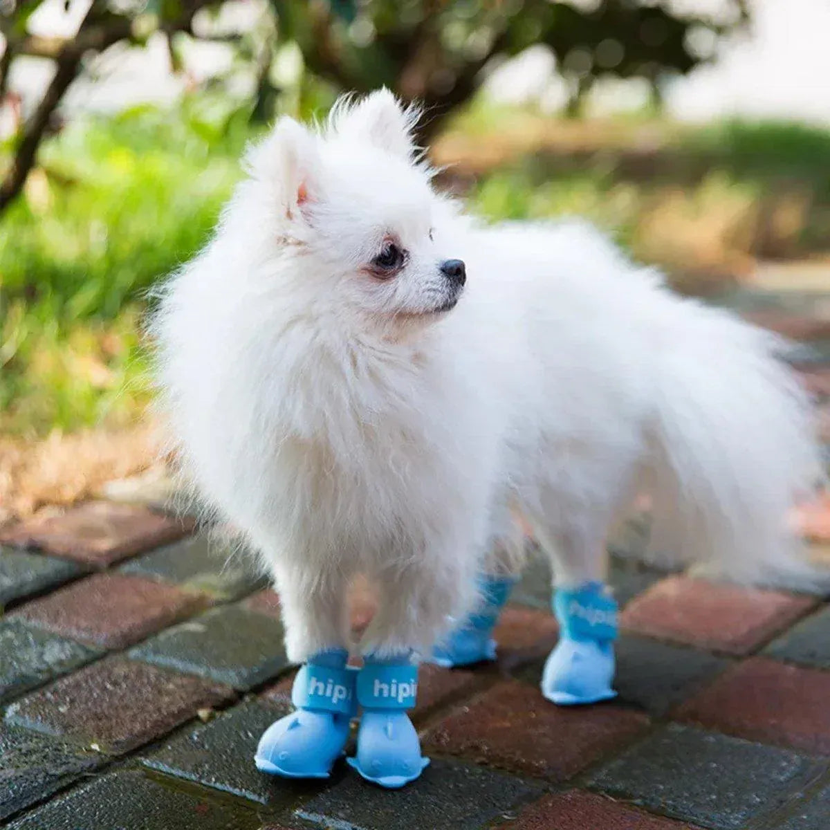 Premium Cartoon Pet Rain Boots 4pcs Waterproof Non-Slip - Blue S