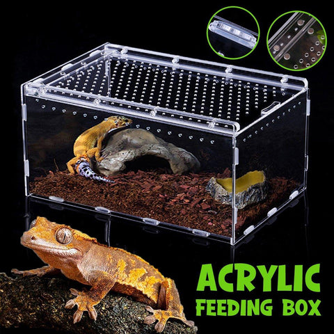Premium Clear Acrylic Reptile Terrarium with Slide Lid - 30 x 20 x 15cm
