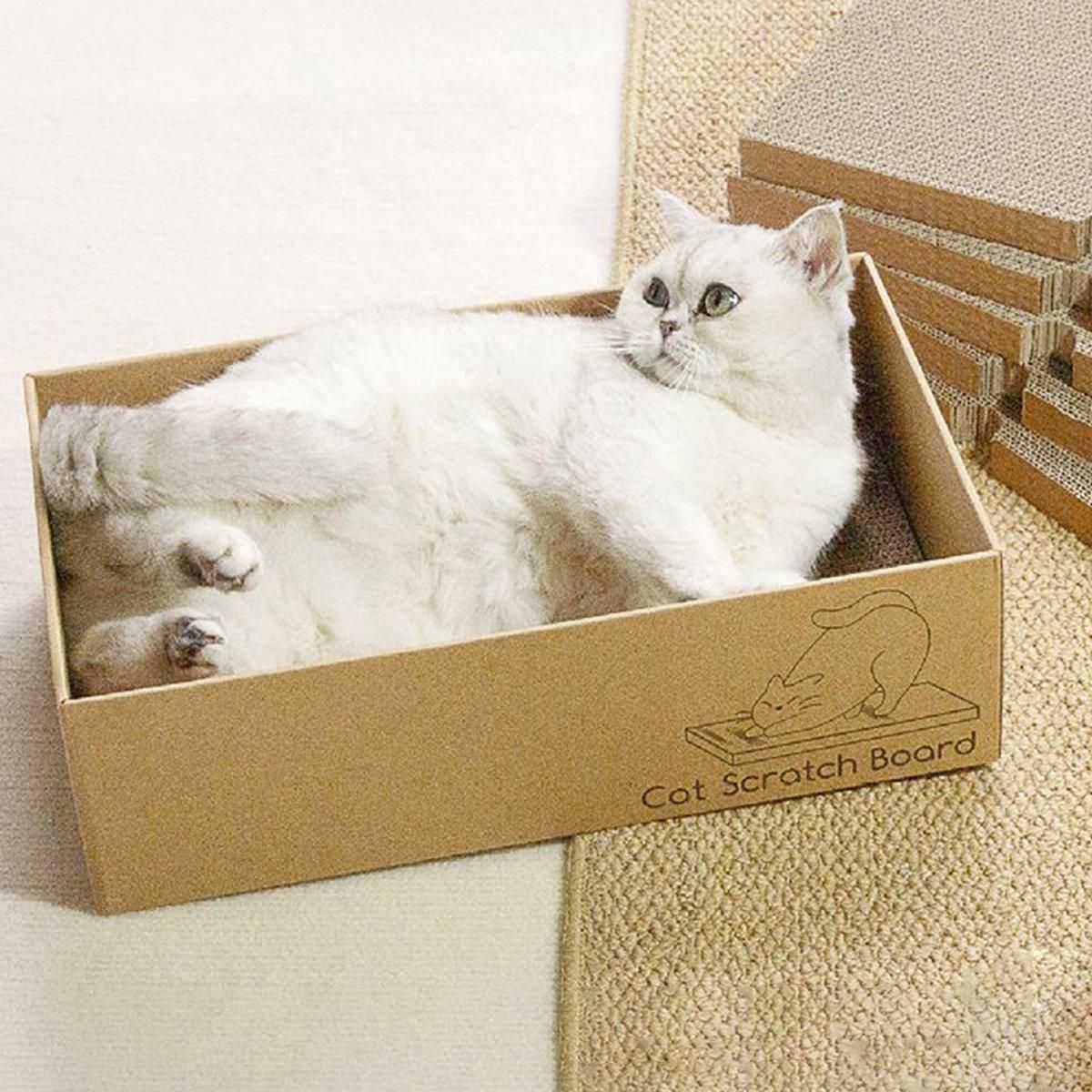 Premium Corrugated Cardboard Cat Scratcher Set with Play Hole