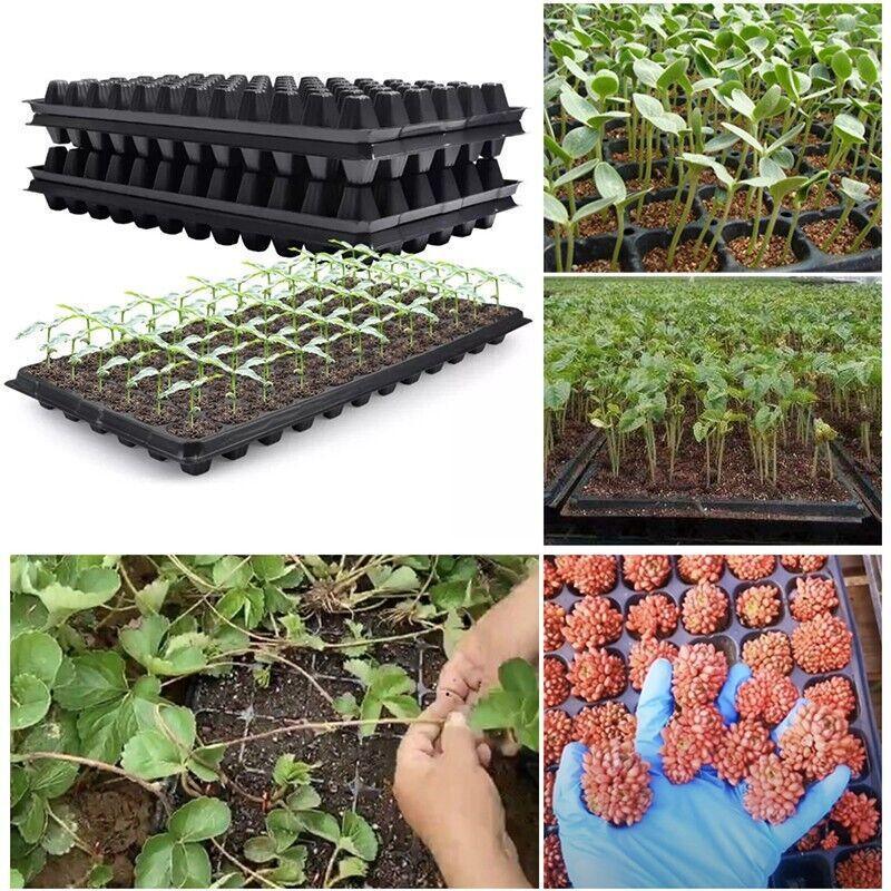 72-Cell Seedling Trays - 54x28x4 cm, Durable PVC, Reusable, Perfect for Vegetables - SuperSaverAU - view 5