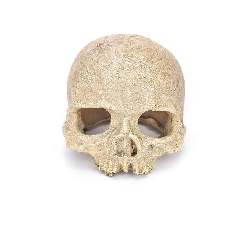 Premium Resin Skull Aquarium Ornament Decoration - Hat