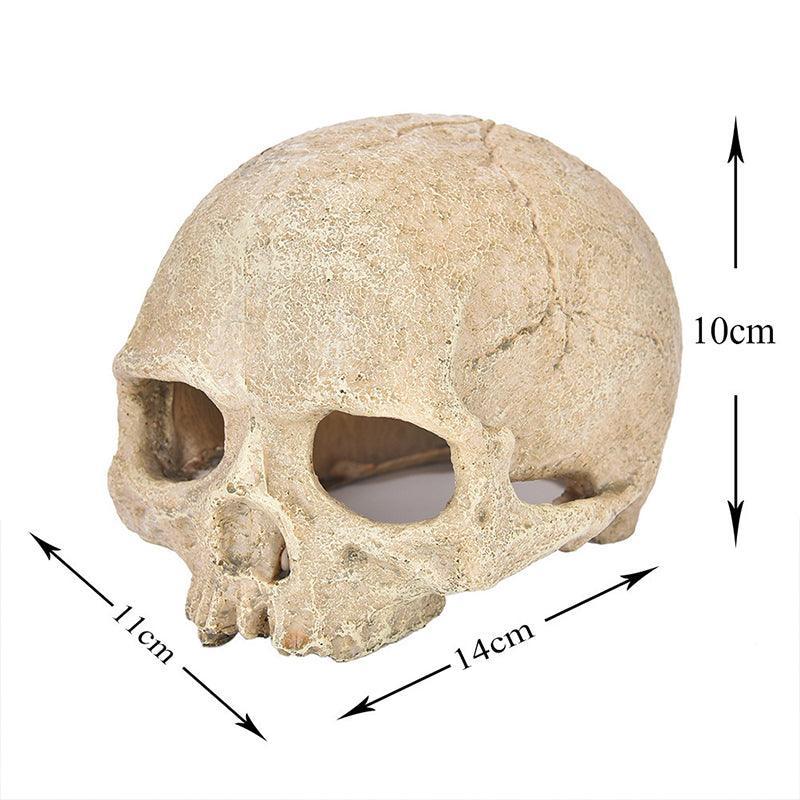Premium Resin Skull Aquarium Ornament Decoration - Pirate