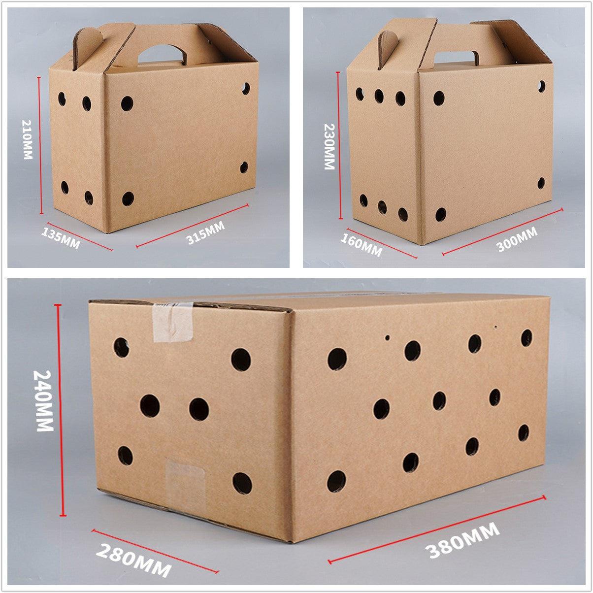 Premium Disposable Cardboard Pet Carriers 10pcs - 38 x 28 x 24cm