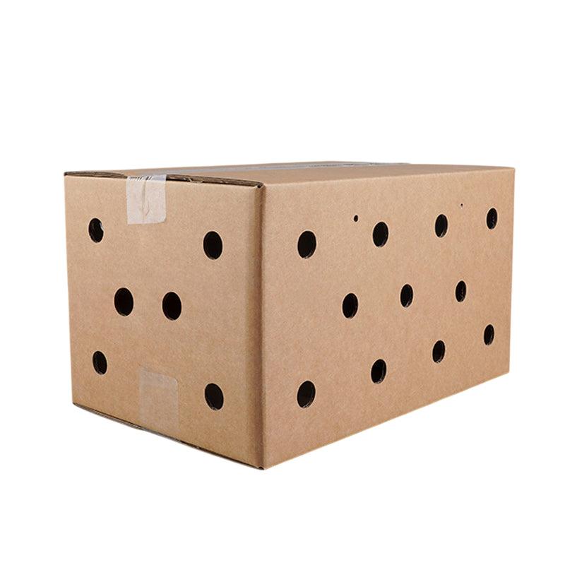 Premium Disposable Cardboard Pet Carriers 10pcs - 38 x 28 x 24cm