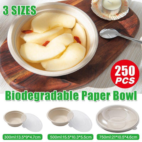 250PCS Disposable Bento Boxes - Food Preparation, 750ml, Primary Color - SuperSaverAU - view 1