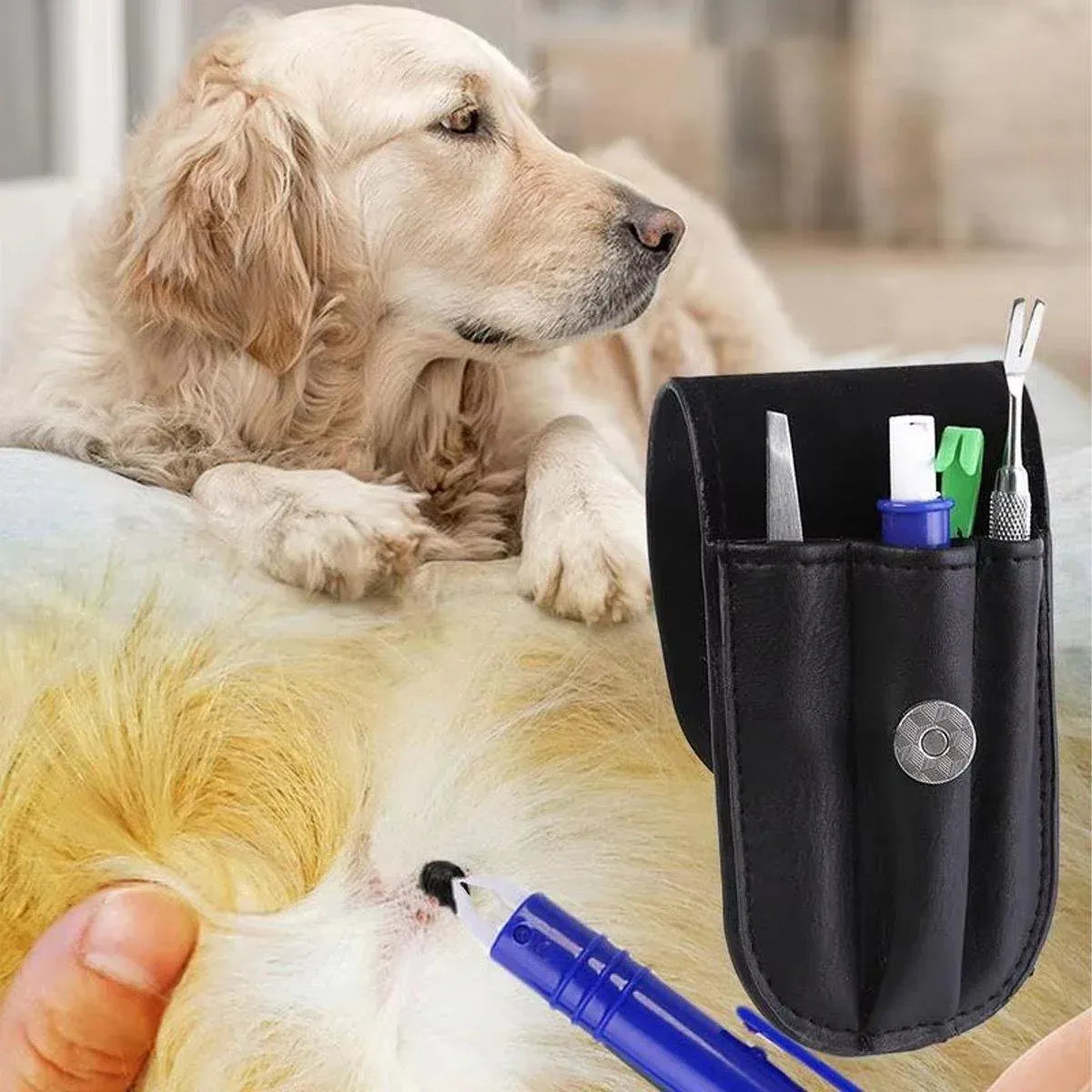 Premium 5 Piece Pet Flea & Tick Removal Tool Set with Carry Pouch