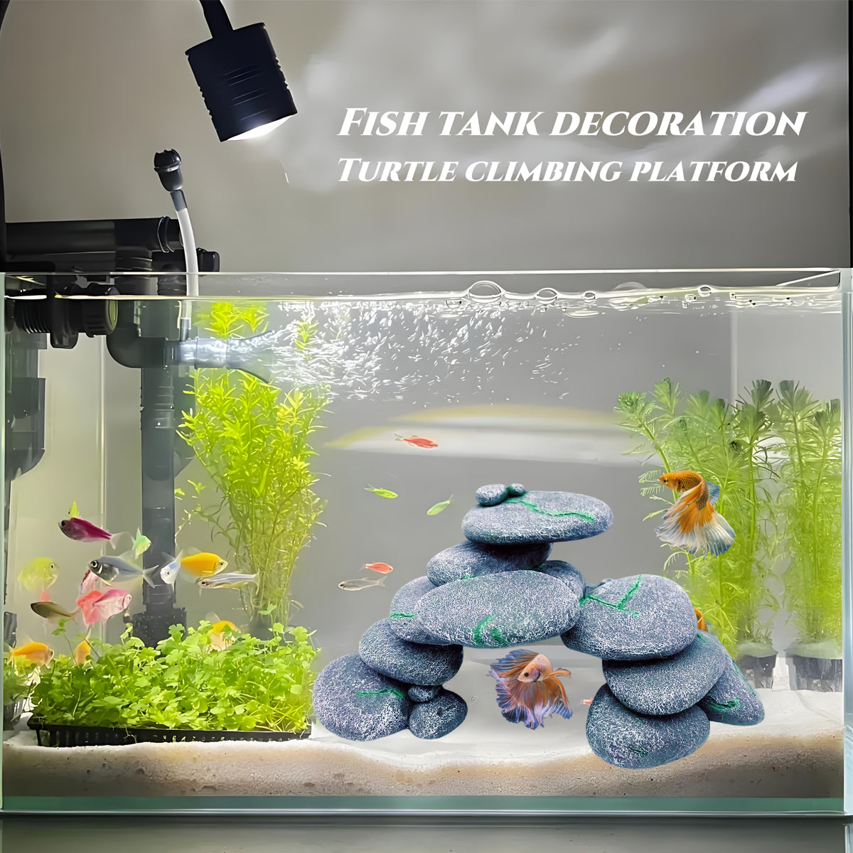 Turtle Climbing Platform with Stair Ramp & Hiding Cave - Small Size 10×25×17 cm - SuperSaverAU - view 4