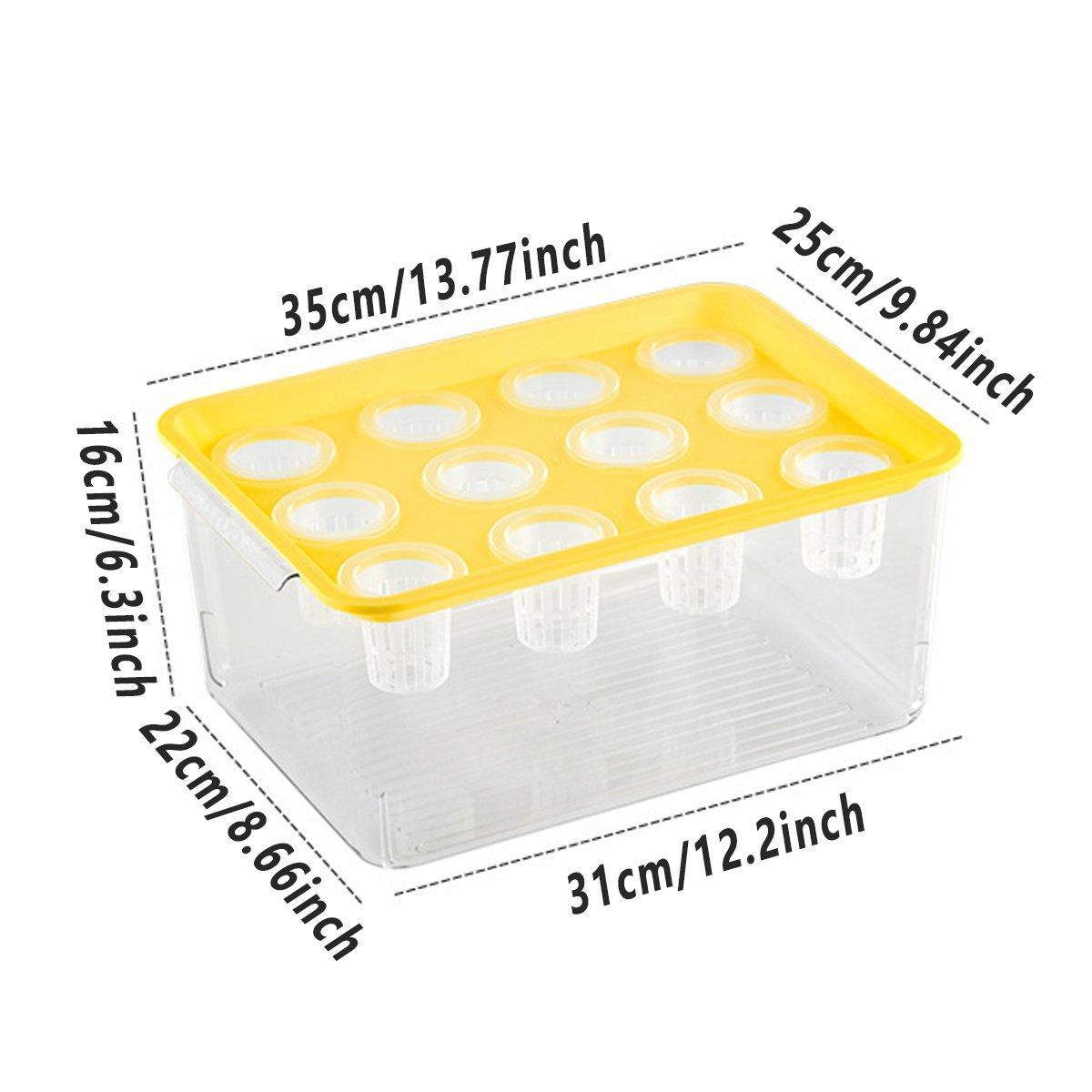 Transparent Rectangular Aquarium 12Hole Lid Portable Hydroponic Plant Fish Tank - Green - SuperSaverAU - view 2