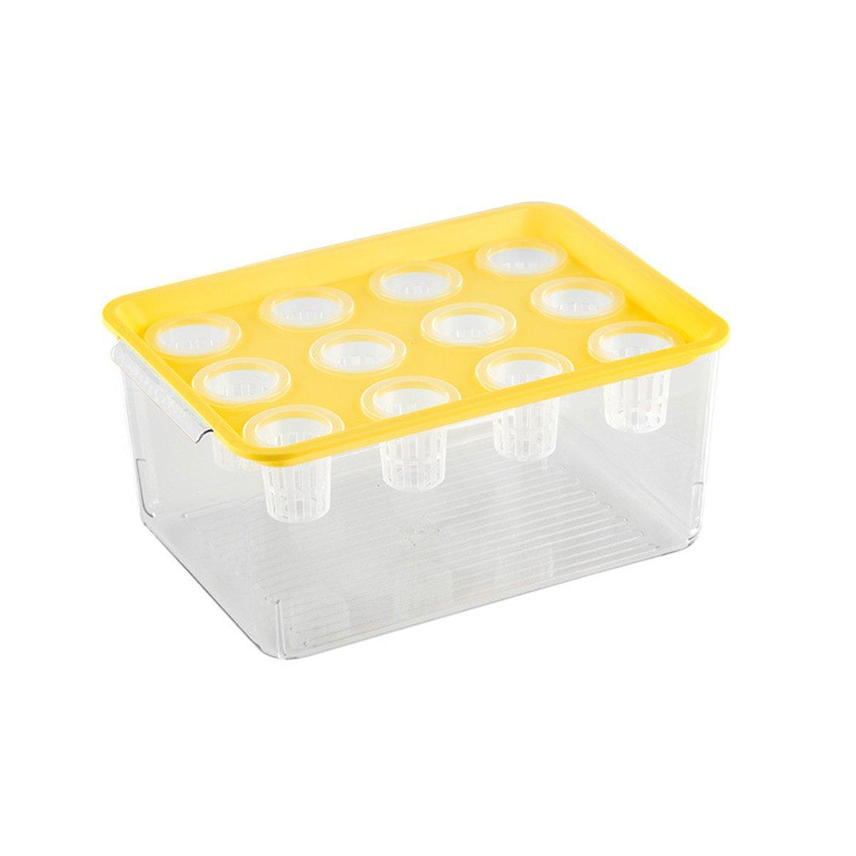 Transparent Rectangular Aquarium 12Hole Lid Portable Hydroponic Plant Fish Tank - Green - SuperSaverAU - view 5